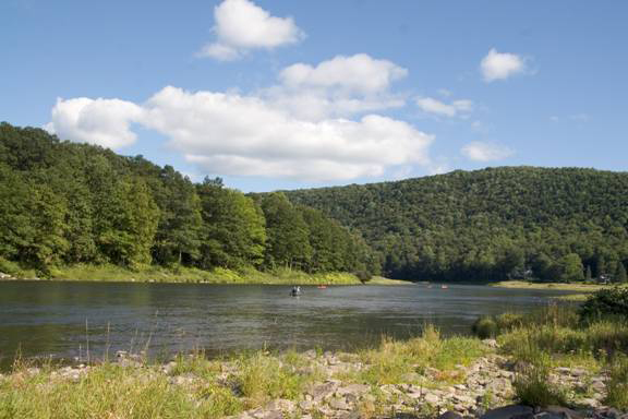 View of the upper Delaware River. Photo by David B. Soete.